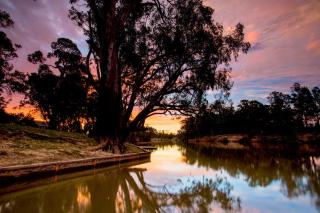 BIG4 Deniliquin Holiday Park - 2