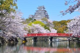 Himeji Park Hotel (Adult Only) - Himeji - 4
