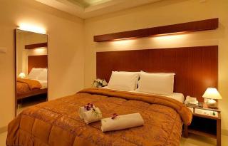 Dhanunjayas Luxury Hotel - Hosūr - 0