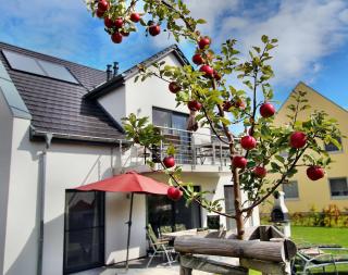 VILLA HUeGEL _ EG_Fewo - Göhren-Lebbin - 2