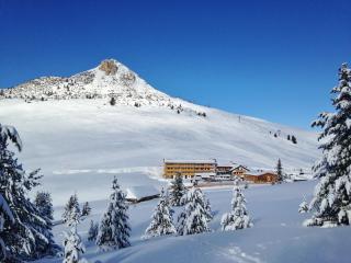 Berghotel Jochgrimm - Your Dolomites Home - Varena - 8