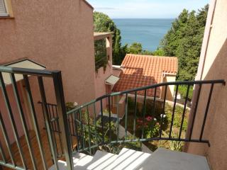 4SAP7 Appartement avec belle terrasse - Collioure - 2