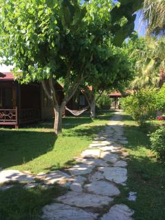 Ozge Bungalow Hotel - Çıralı - 1