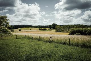 Feriendomizil Alter Garten - Temmen-Ringenwalde - 8