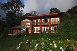 Hotel Bosque Verde Lodge - Monteverde - 0