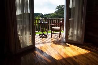 Hotel Bosque Verde Lodge - Monteverde - 6