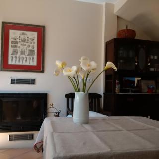 Tu casita de la Senda del Oso - 7