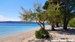 Apartments Ferdo - 8