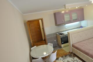 Alex 2 apartman - Vrnjačka Banja - 3