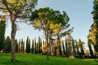 Villa Betteloni Valpolicella Suites - San Pietro in Cariano - 6