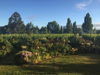 'The Crib' on Legacy Vineyard - Alexandra - 1