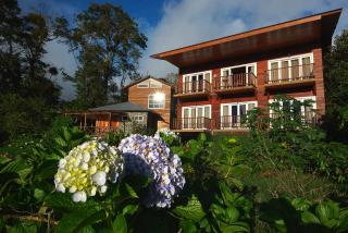 Hotel Bosque Verde Lodge - Monteverde - 3