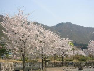 Pension Oz - Yuzawa - 7