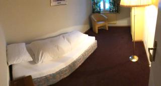 Parkhotel Bellevue Budget - Lenk - 3