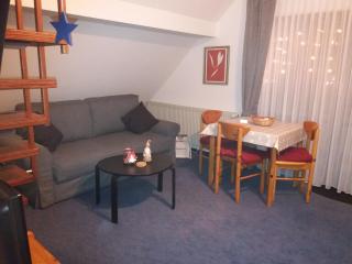 Haus Elsholz Willingen - Willingen - 9