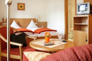 Hotel Rose Heidelberg inklusive Frühstück & Saunanutzung - Heidelberg - 7