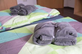 Ferienwohnung Weiher - Nähe Nürnberg / Messe - 5