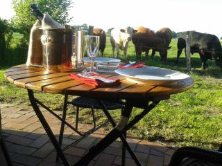 Luxus Chalet mit überdachter Terrasse, beste Lage - 5