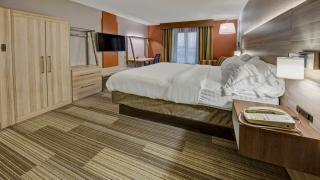Holiday Inn Express Hotel & Suites London by IHG - 3