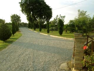 Agriturismo Tenuta Santa Maria - Notaresco - 3