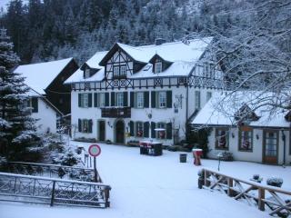 Gasthof Bischofsmühle - Helmbrechts - 5