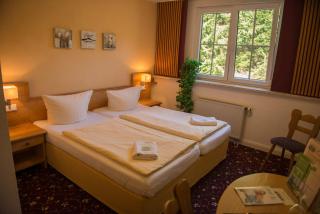 Flair-Waldhotel Mellestollen - Saalfeld - 4