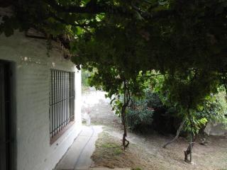 La Loberia - Las Grutas - Las Grutas - 7