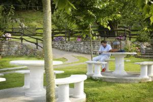 Hotel & Spa Villa de Mestas - Cangas de Onís - 2