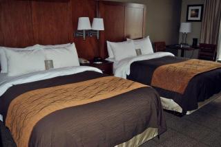 Comfort Inn Alliance - Alliance - 6