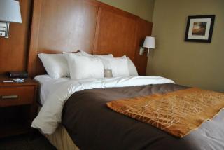 Comfort Inn Alliance - Alliance - 8