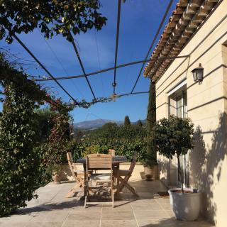 L,olivaie Côté Jardin - Saint Paul de Vence - 7