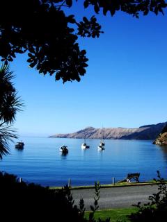 French Pass Beachfront Villas - Elmslie Bay - 9