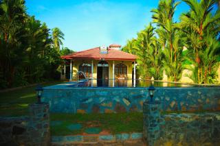 Bentota River Villa - Bentota - 3
