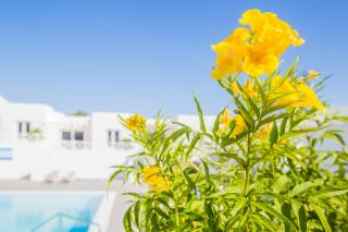 Flower Beach Suite 6 - Playa Honda - 9