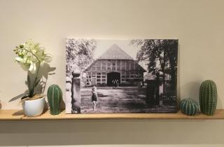 Ferienwohnung im Kuhstall - Neustadt am Rübenberge - 8