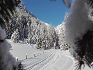 Bed & Breakfast Dolomiti Bey Haus Pinter - Assling - 8