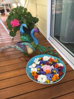 The Best Exotic Magnolia Cottage - Bundanoon - 2