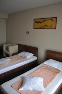 Euro House Hotel - Baia Mare - 1