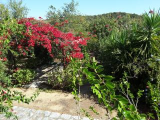 Elise Cottage - Vathi - 7