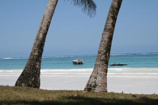 Simba Apartments - Praia de Diani - 4