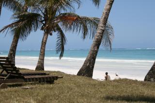 Simba Apartments - Praia de Diani - 0