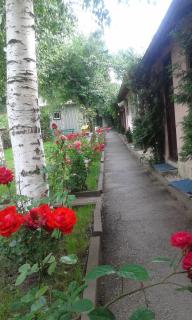 Camping Paradisul Soferilor - Onești - 7