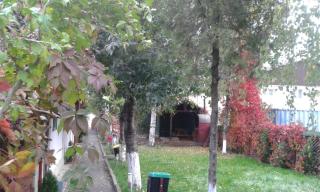 Camping Paradisul Soferilor - 8