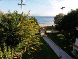 Beach House Villa - Nea Makri - 2