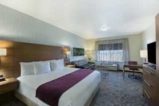 Oxford Suites Sonoma - Rohnert Park - Rohnert Park - 8