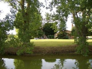 Le Platane - 5