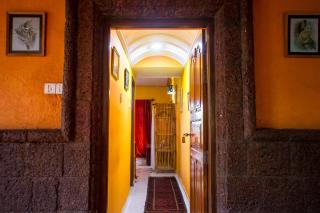 Papa Jolly Eco Resort-Near Morjim Beach - Morjim - 2