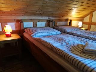 Restaurant Pension-Anton - Jáchymov - 9