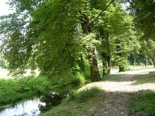 Zamość Dwór Udrycze - 2