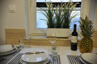 Apartamenty Platan Opieszyn - 4